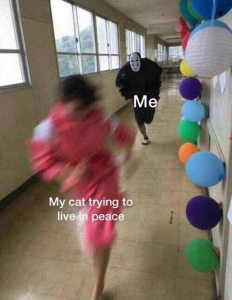 Daily Pictures. Part 2 (66 pics) Daily Pictures. Part 2 (66 pics)