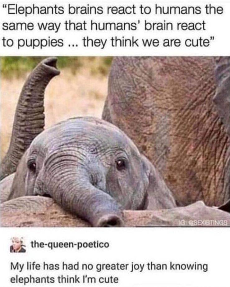 Daily Pictures. Part 2 (66 pics) Daily Pictures. Part 2 (66 pics)