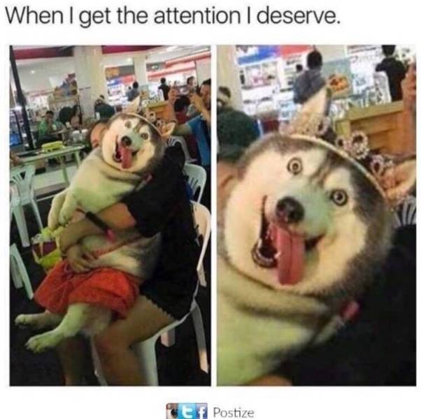 Daily Pictures. Part 2 (66 pics) Daily Pictures. Part 2 (66 pics)