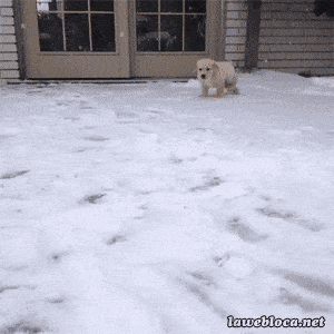 Acid GIFs, December 8 (25 gifs) Acid GIFs, December 8 (25 gifs)