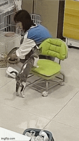 Acid GIFs, December 8 (25 gifs) Acid GIFs, December 8 (25 gifs)