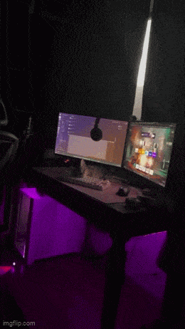 Acid GIFs, December 8 (25 gifs) Acid GIFs, December 8 (25 gifs)