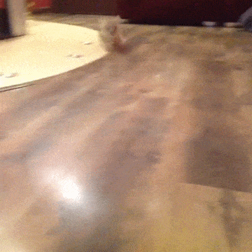 Acid GIFs, December 8 (25 gifs) Acid GIFs, December 8 (25 gifs)