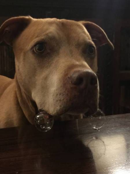 Daily Pictures. Part 1 (66 pics) Daily Pictures. Part 1 (66 pics)