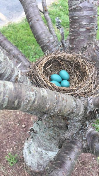 Daily Pictures. Part 1 (66 pics) Daily Pictures. Part 1 (66 pics)