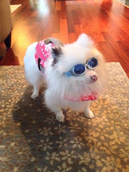 Daily Pictures. Part 1 (66 pics) Daily Pictures. Part 1 (66 pics)