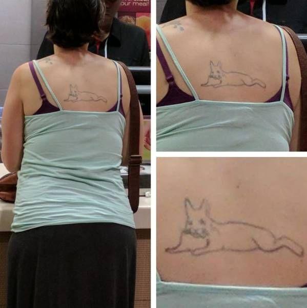 Daily Pictures. Part 1 (66 pics) Daily Pictures. Part 1 (66 pics)