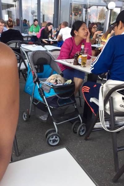 Daily Pictures. Part 1 (66 pics) Daily Pictures. Part 1 (66 pics)