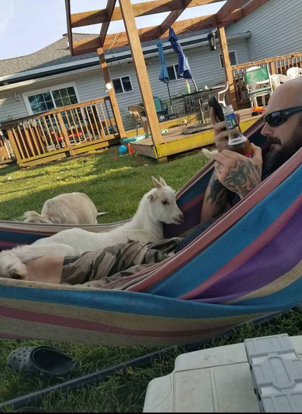 Daily Pictures. Part 1 (66 pics) Daily Pictures. Part 1 (66 pics)