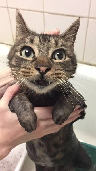 Daily Pictures. Part 1 (66 pics) Daily Pictures. Part 1 (66 pics)