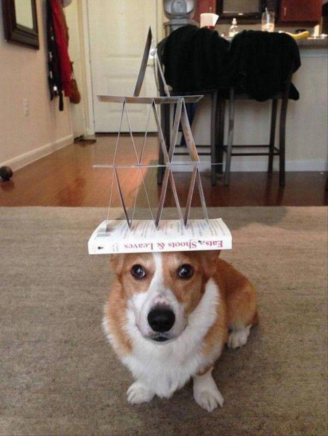 Daily Pictures. Part 1 (66 pics) Daily Pictures. Part 1 (66 pics)