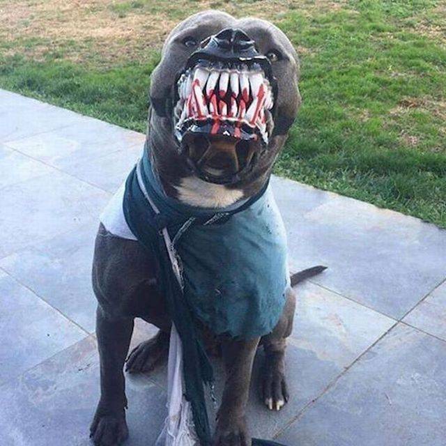 Daily Pictures. Part 1 (66 pics) Daily Pictures. Part 1 (66 pics)