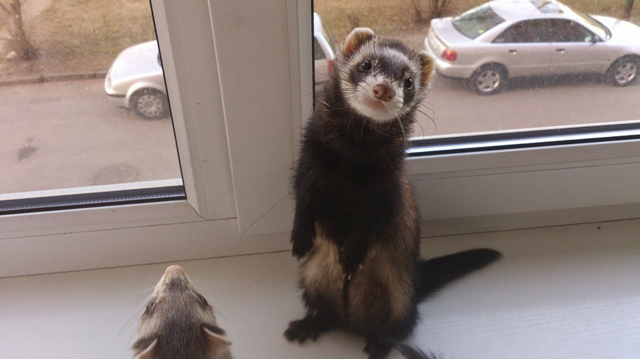 Daily Pictures. Part 2 (65 pics)