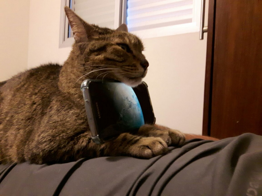 Daily Pictures. Part 2 (65 pics)