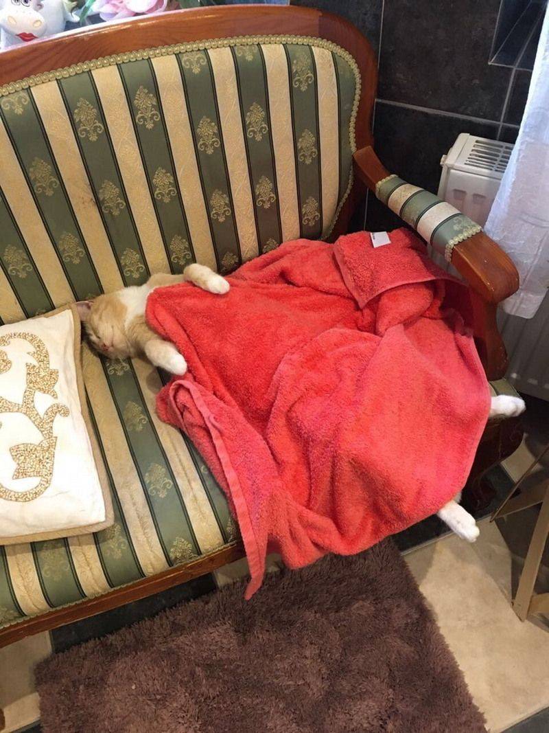 Daily Pictures. Part 1 (66 pics) Daily Pictures. Part 1 (66 pics)