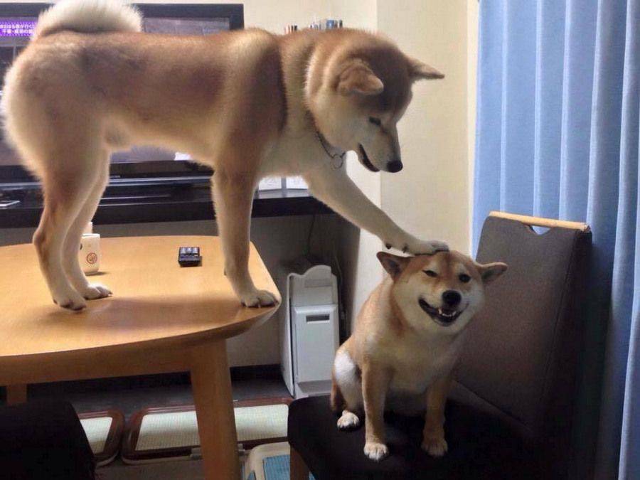 Daily Pictures. Part 2 (65 pics)