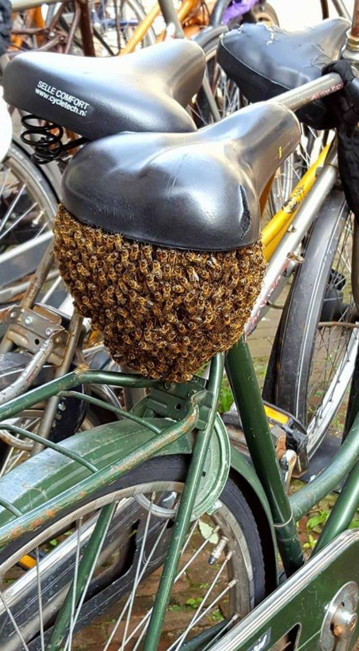 Daily Pictures. Part 1 (66 pics) Daily Pictures. Part 1 (66 pics)