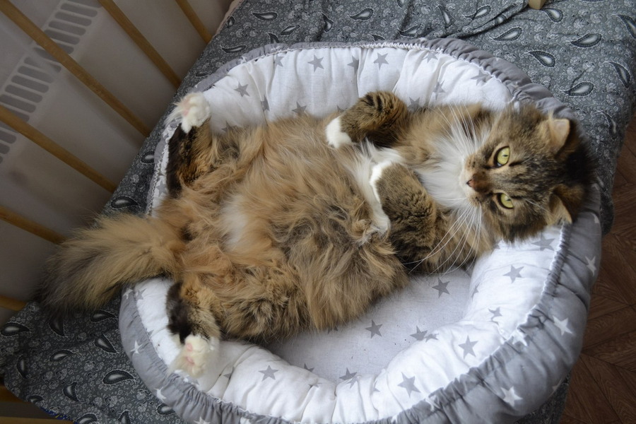 Daily Pictures. Part 2 (65 pics)