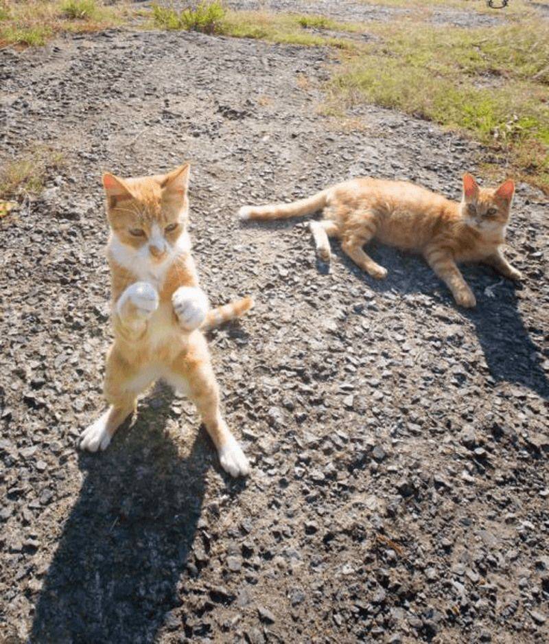 Daily Pictures. Part 1 (66 pics) Daily Pictures. Part 1 (66 pics)