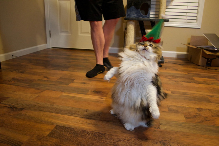 Daily Pictures. Part 2 (65 pics)