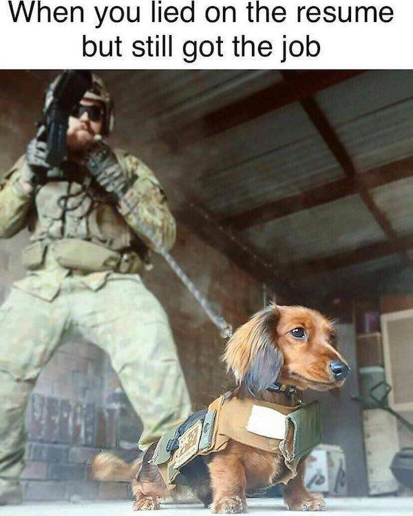 Daily Pictures. Part 2 (65 pics)