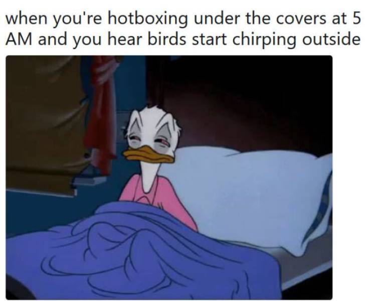 Daily Pictures. Part 2 (65 pics)