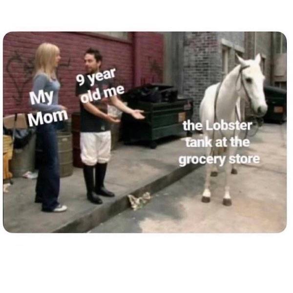 Daily Pictures. Part 2 (65 pics)