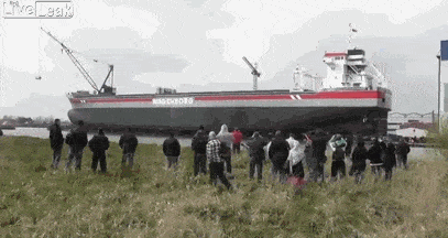 Acid GIFs, December 9 (25 gifs) Acid GIFs, December 9 (25 gifs)