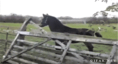 Acid GIFs, December 9 (25 gifs) Acid GIFs, December 9 (25 gifs)