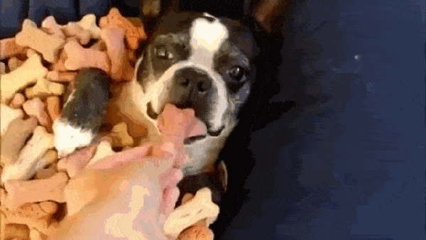 Acid GIFs, December 9 (25 gifs) Acid GIFs, December 9 (25 gifs)