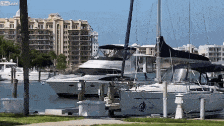 Acid GIFs, December 9 (25 gifs) Acid GIFs, December 9 (25 gifs)