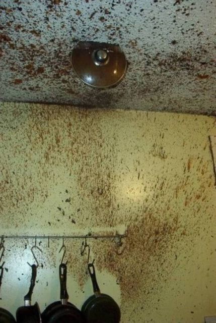 What Is Going On Here? (23 pics)