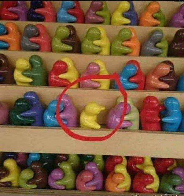 What Is Going On Here? (23 pics)