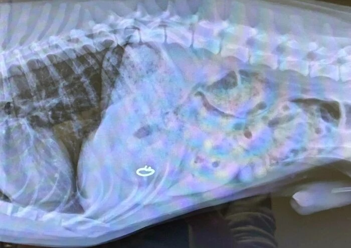 Bad Days Happen (25 pics) Bad Days Happen (25 pics)