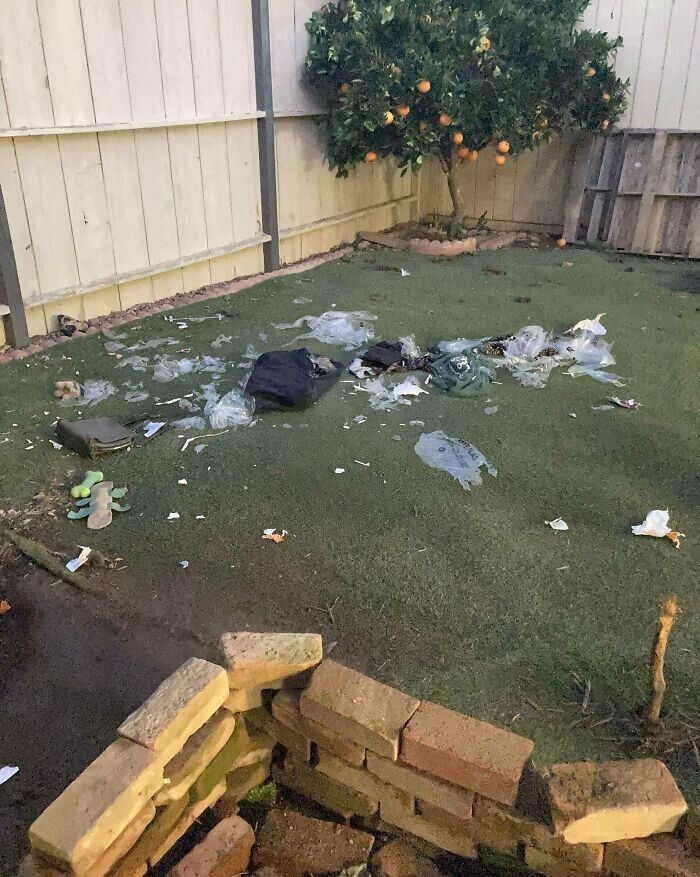 Bad Days Happen (25 pics) Bad Days Happen (25 pics)