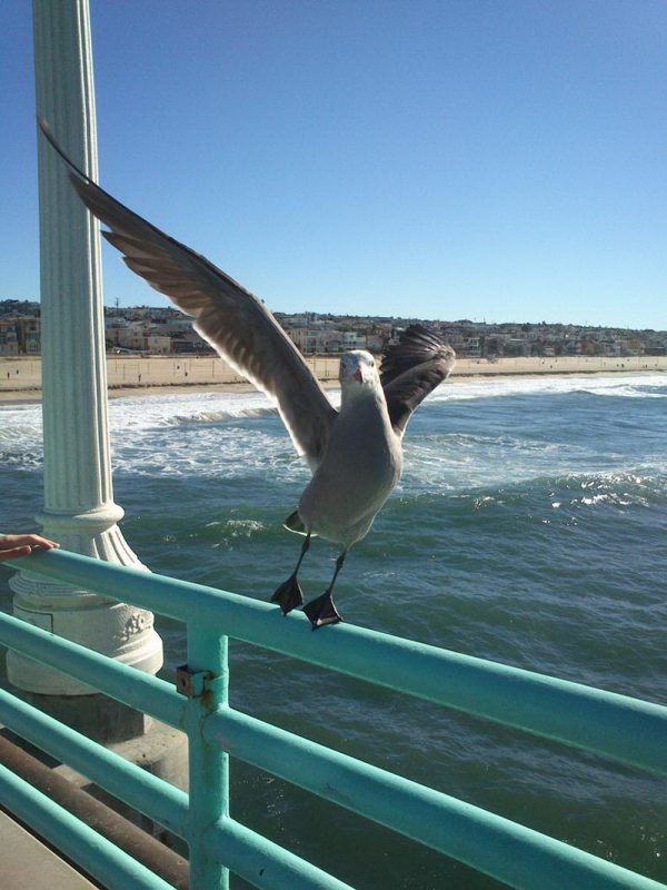 Right Moment (19 pics) Right Moment (19 pics)