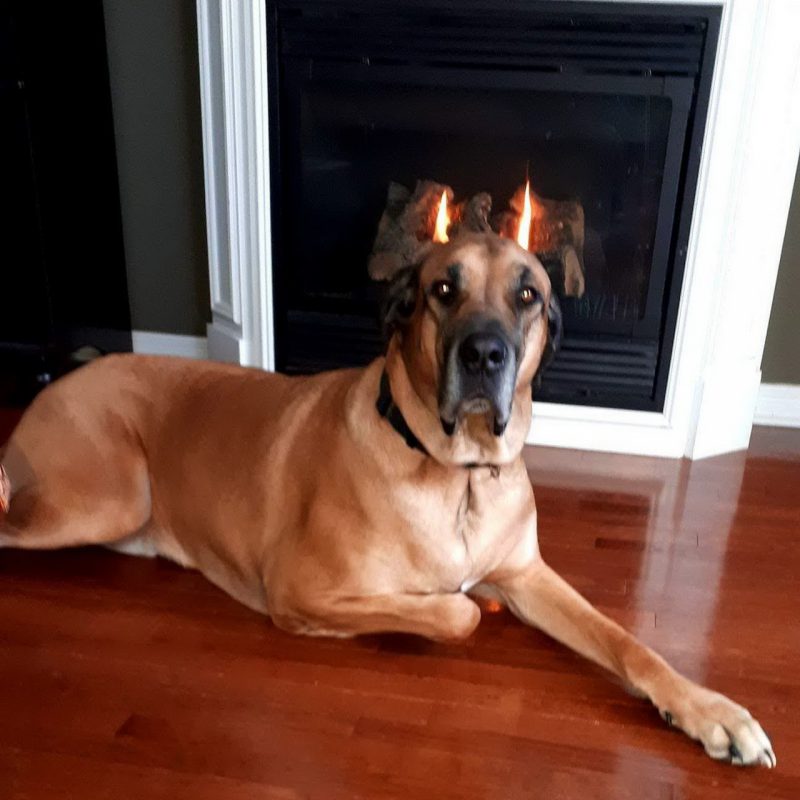 Right Moment (19 pics) Right Moment (19 pics)