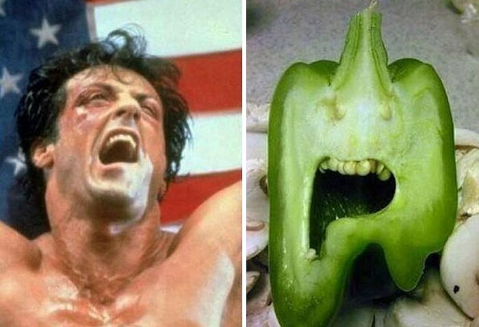Funny Coincidences (23 pics)