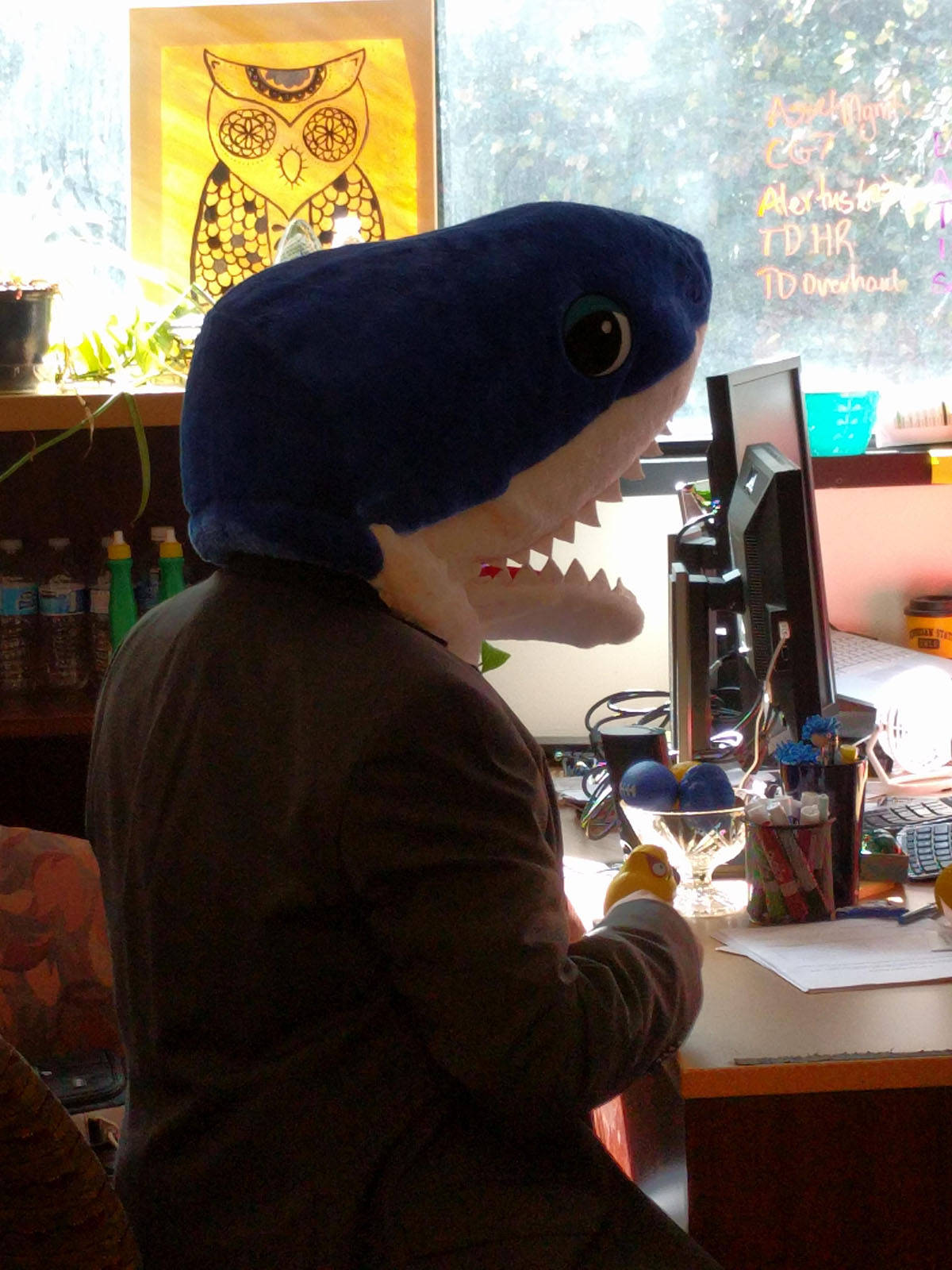 Daily Pictures. Part 1 (67 pics) Daily Pictures. Part 1 (67 pics)