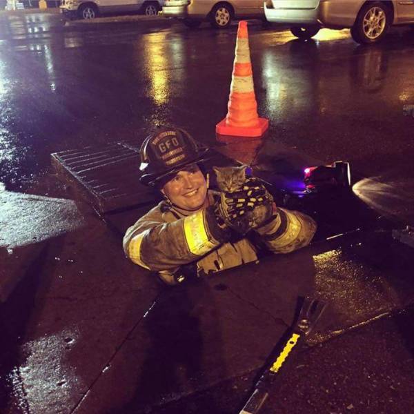 Daily Pictures. Part 1 (67 pics) Daily Pictures. Part 1 (67 pics)