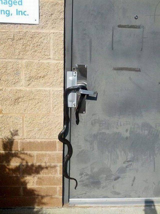 Daily Pictures. Part 1 (67 pics) Daily Pictures. Part 1 (67 pics)