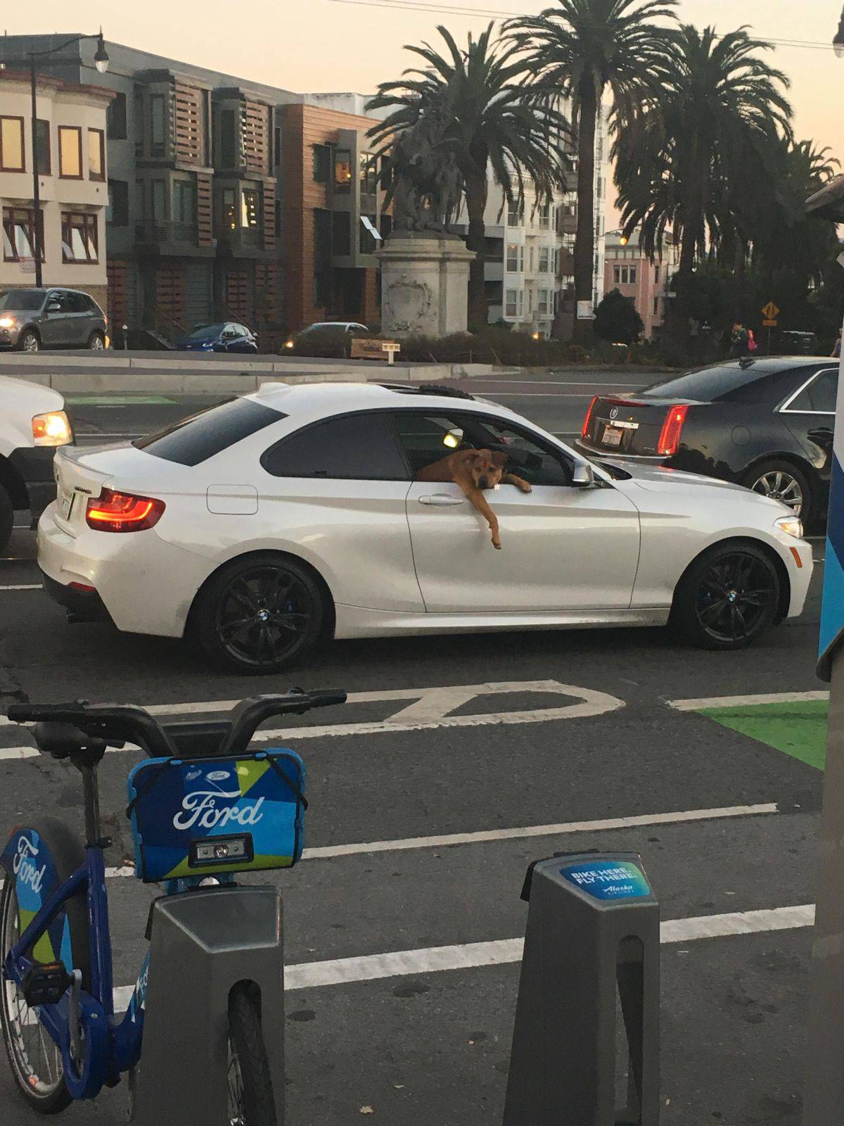 Daily Pictures. Part 1 (67 pics) Daily Pictures. Part 1 (67 pics)