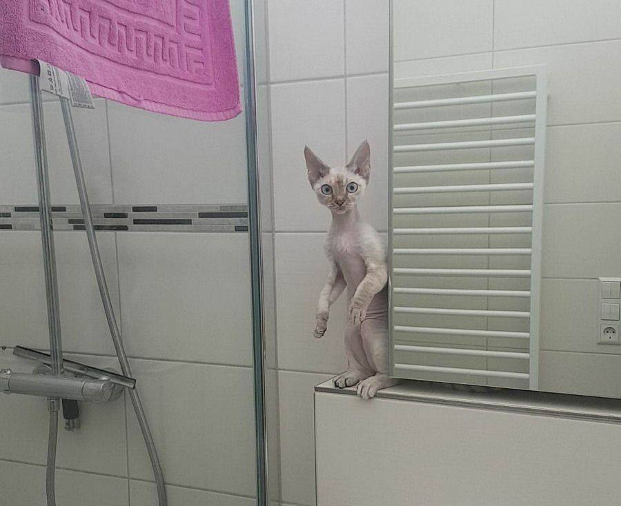 Daily Pictures. Part 1 (67 pics) Daily Pictures. Part 1 (67 pics)