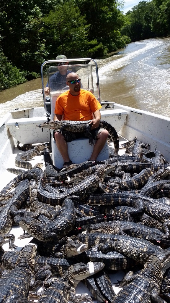 Daily Pictures. Part 1 (67 pics) Daily Pictures. Part 1 (67 pics)