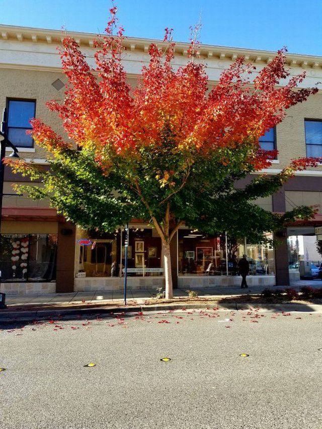 Daily Pictures. Part 1 (67 pics) Daily Pictures. Part 1 (67 pics)