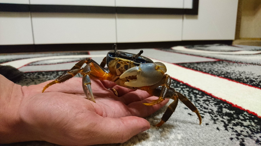 Daily Pictures. Part 1 (67 pics) Daily Pictures. Part 1 (67 pics)