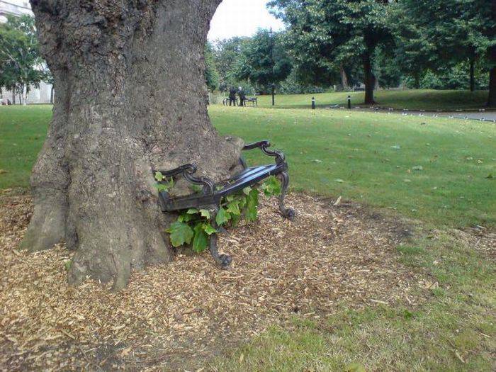 Daily Pictures. Part 1 (67 pics) Daily Pictures. Part 1 (67 pics)