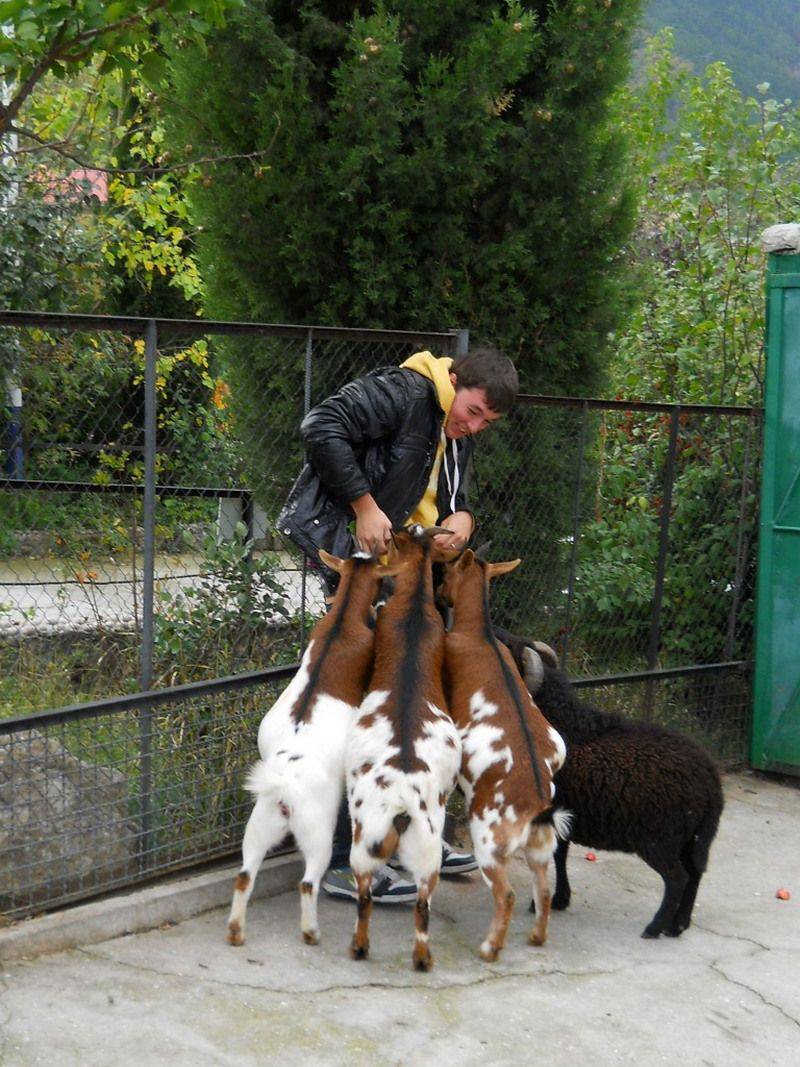 Daily Pictures. Part 1 (67 pics) Daily Pictures. Part 1 (67 pics)