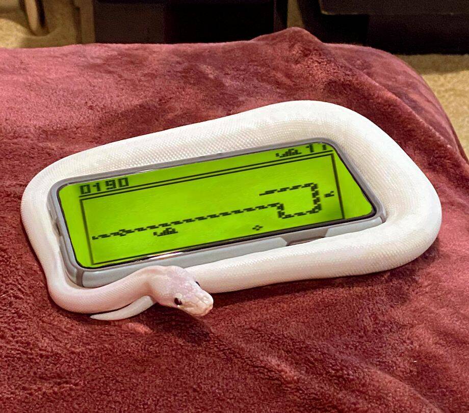 Daily Pictures. Part 1 (67 pics) Daily Pictures. Part 1 (67 pics)