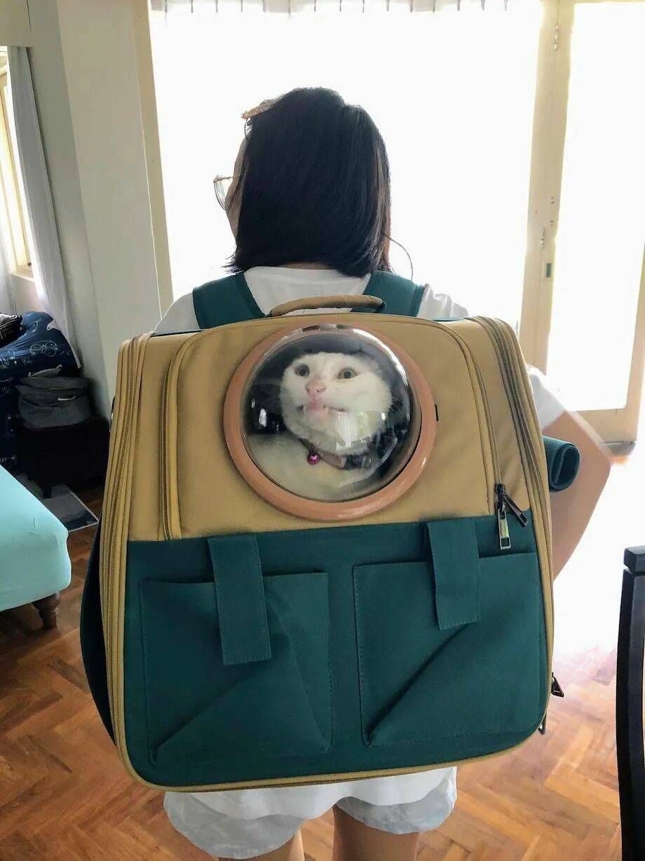 Daily Pictures. Part 1 (67 pics) Daily Pictures. Part 1 (67 pics)